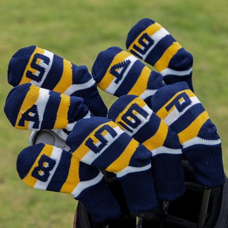 Cubierta para cabeza hierro pa - Golf Club Iron Set reseña y precio