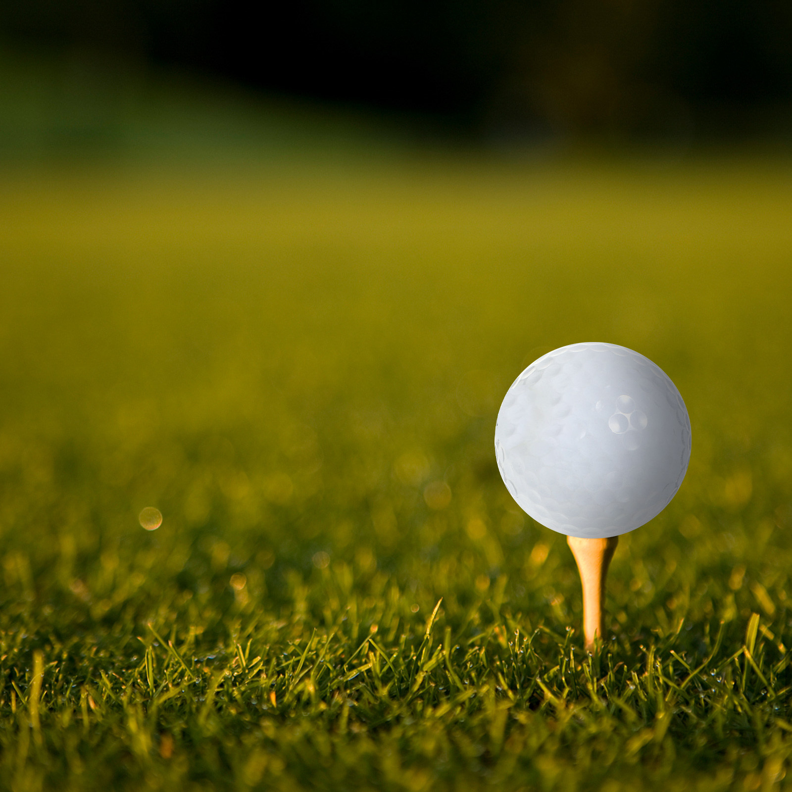 Equipo de bolas de golf para p - Golf Equipment Beginners reseña y precio